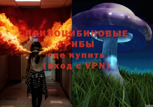 мяу мяу мука Верея
