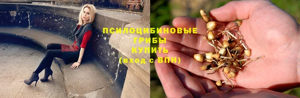 мяу мяу мука Верея